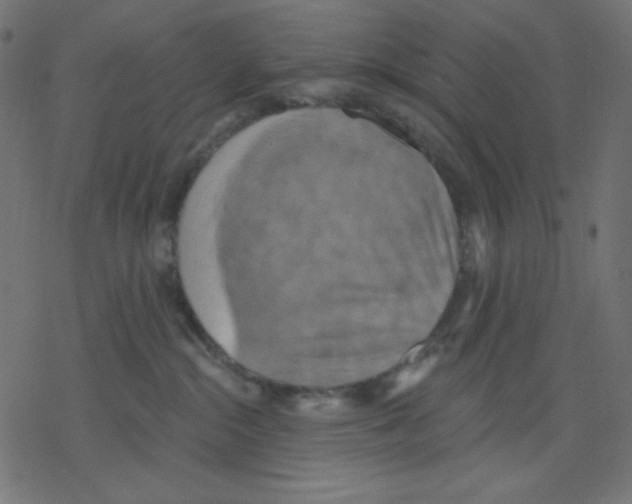 X0000078230284200612011547