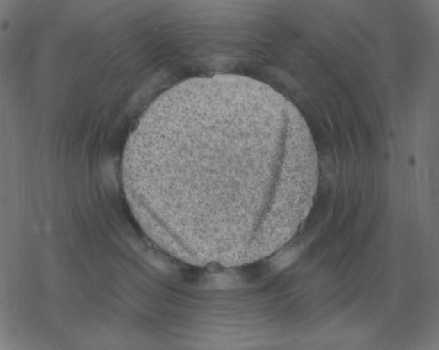 X0000078230286200612011547