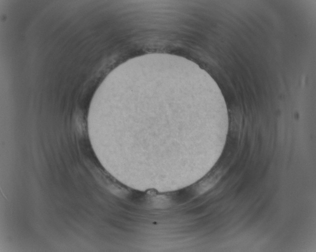 X0000078230287200612011547