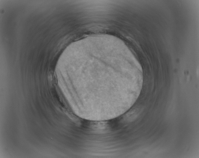 X0000078230288200612011547