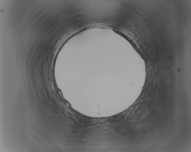 X0000078230289200612011547