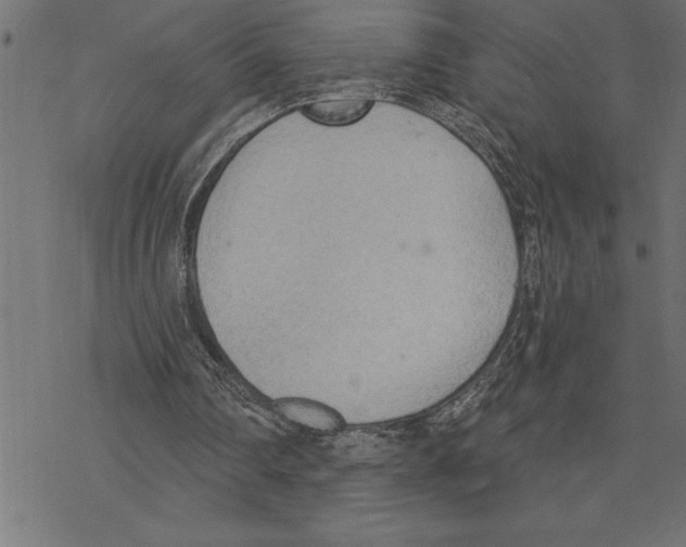 X0000078230290200612011546