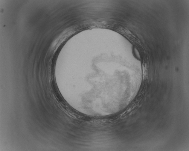 X0000078230291200612011546