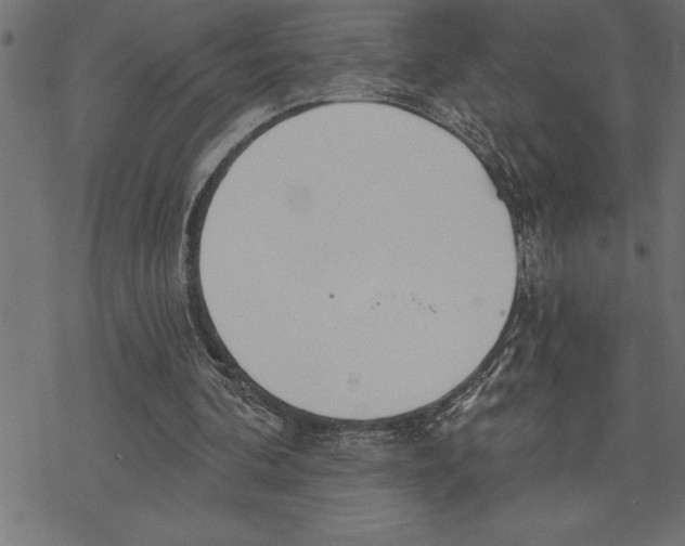 X0000078230292200612011546