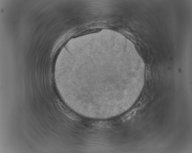 X0000078230293200612011546