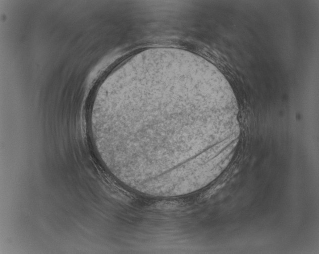 X0000078230294200612011546