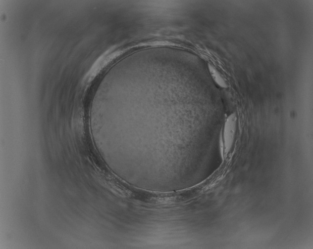 X0000078230295200612011546