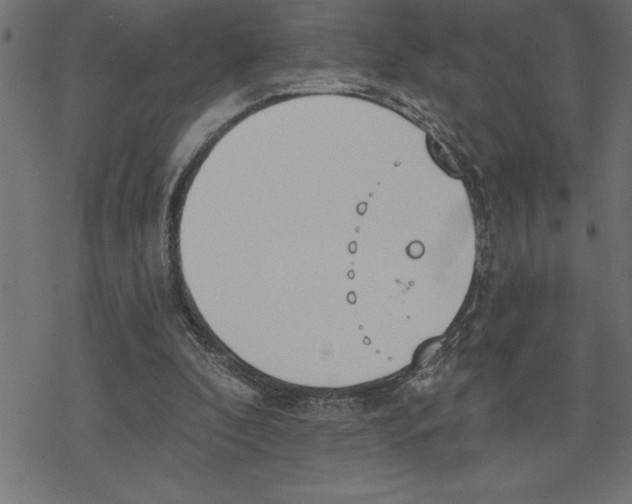 X0000078230296200612011546