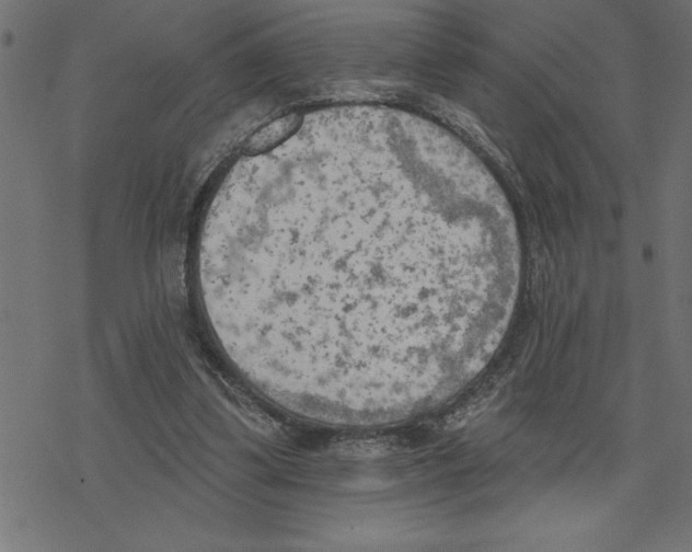 X0000078230299200612011546