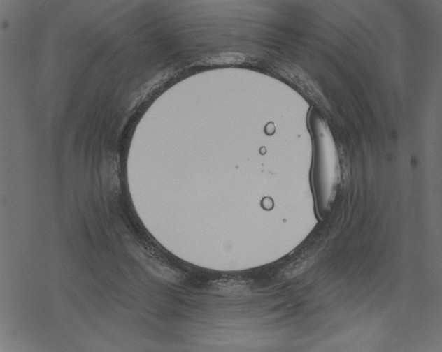 X0000078230300200612011546