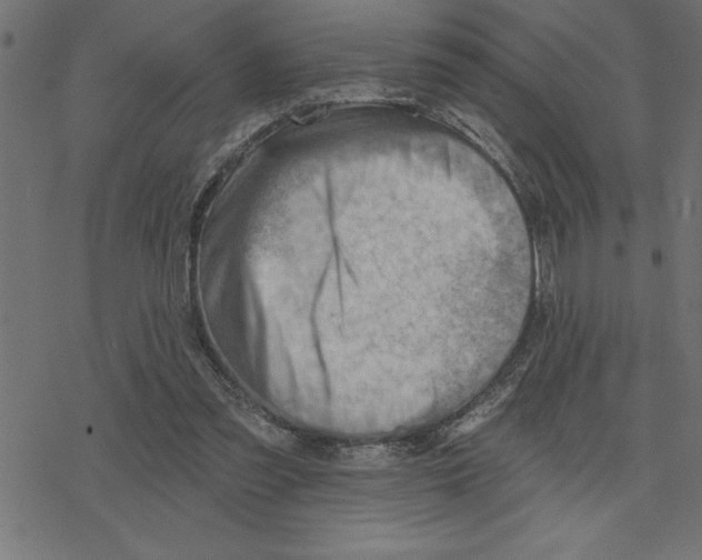 X0000078230301200612011546