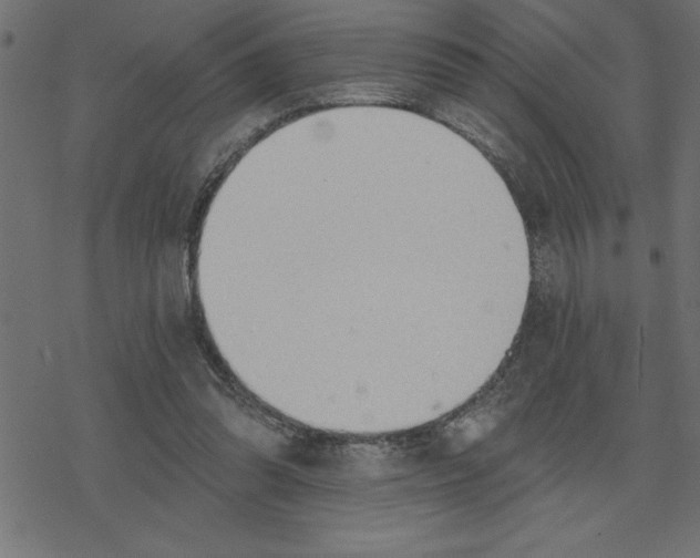 X0000078230302200612011546