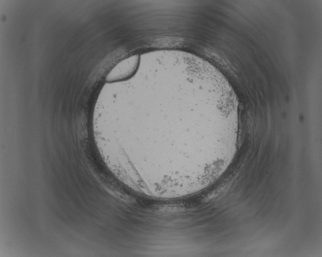 X0000078230303200612011546