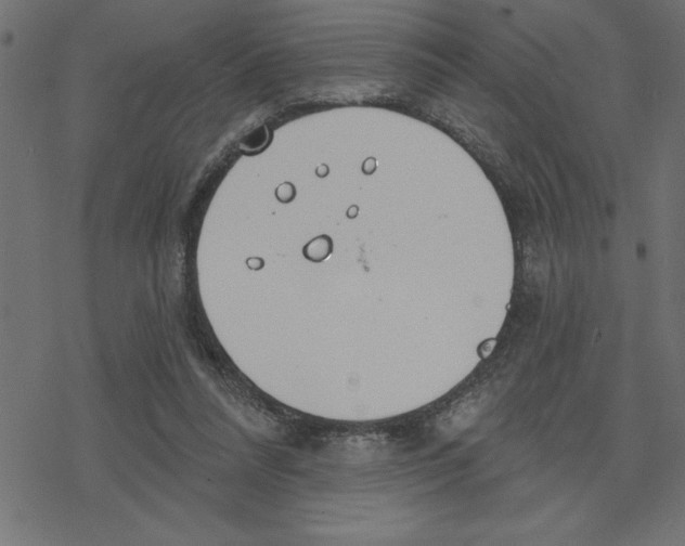 X0000078230304200612011546