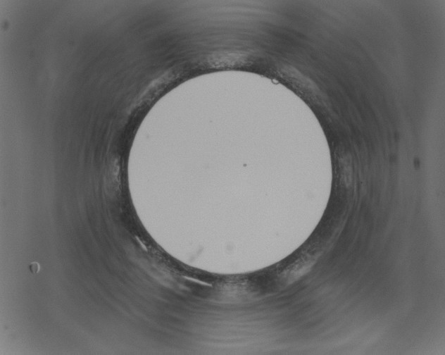 X0000078230308200612011546