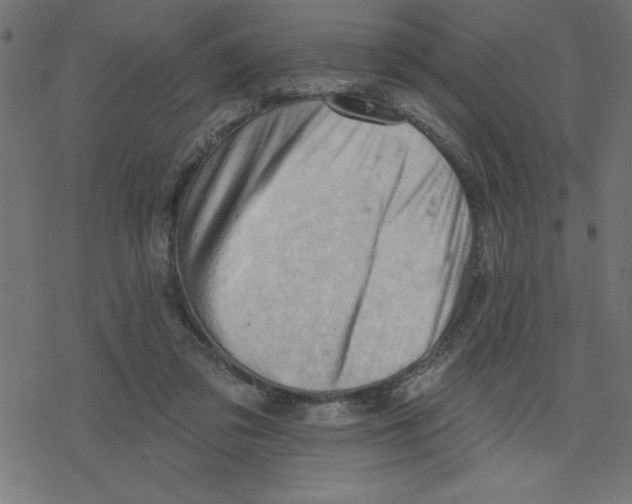 X0000078230309200612011546