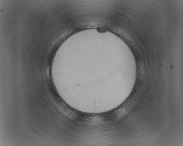 X0000078230310200612011546