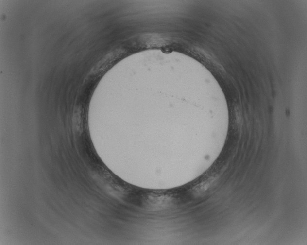 X0000078230311200612011546