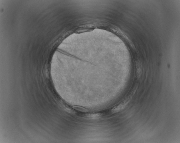 X0000078230313200612011546