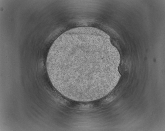 X0000078230314200612011546