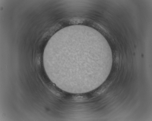 X0000078230315200612011546