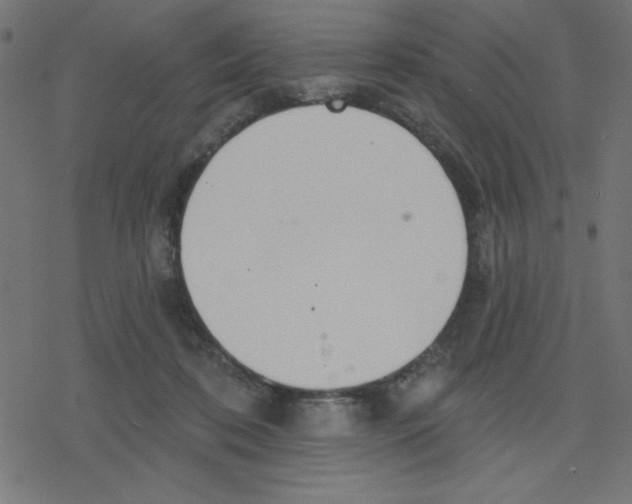 X0000078230316200612011546