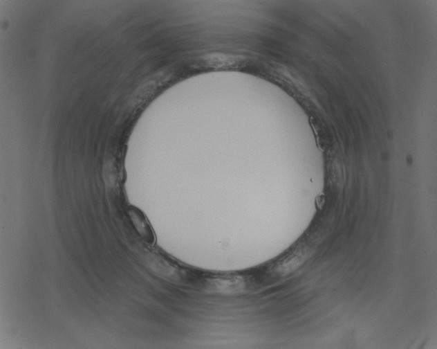 X0000078230317200612011546