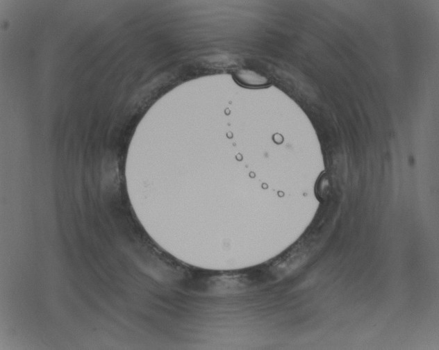 X0000078230320200612011546