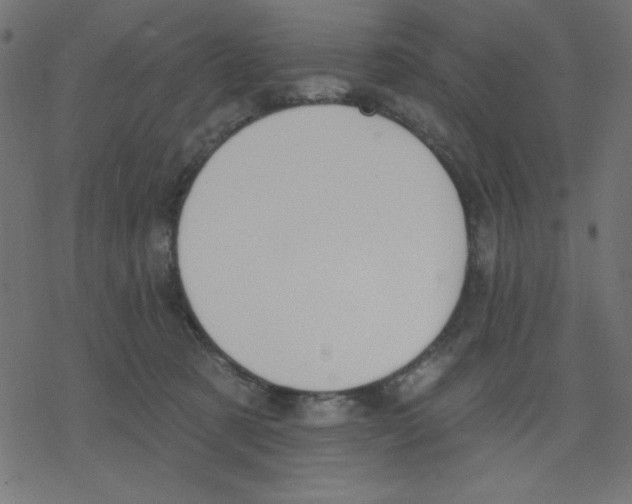 X0000078230321200612011546