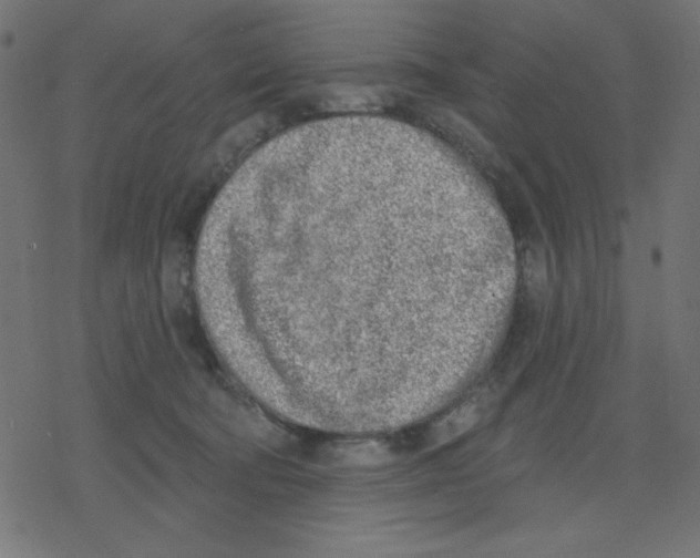 X0000078230322200612011546