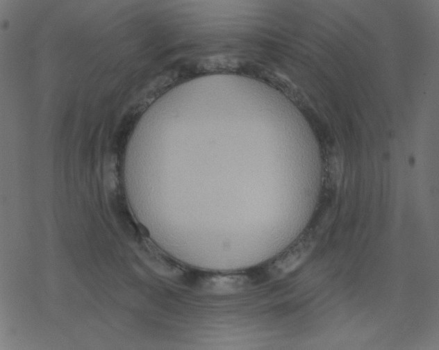 X0000078230323200612011546