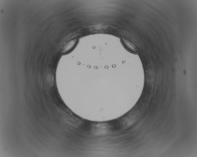 X0000078230324200612011546