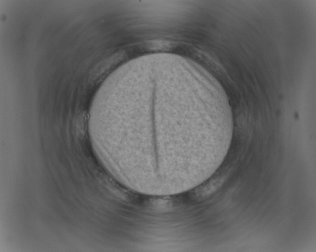 X0000078230325200612011546