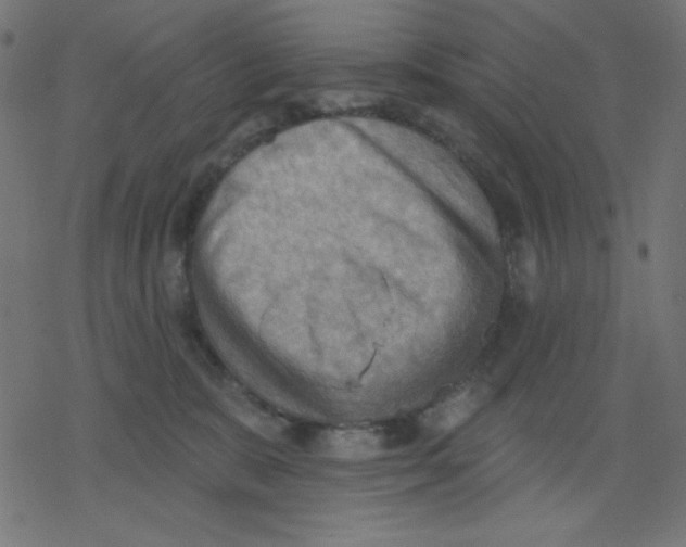 X0000078230327200612011546