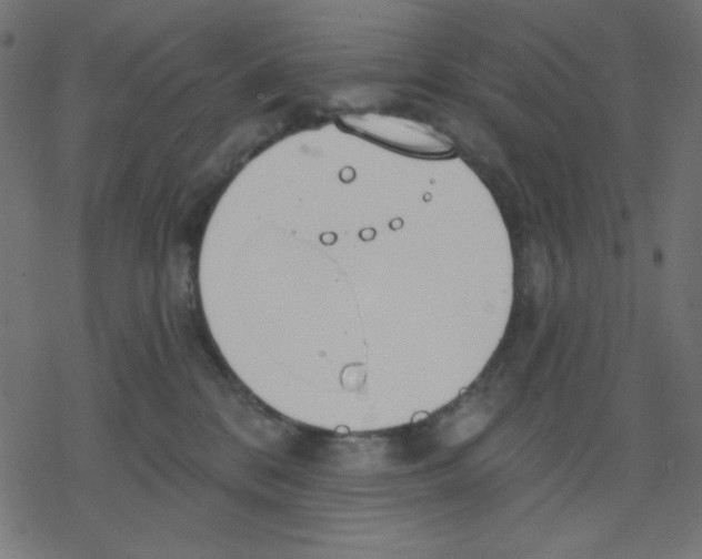 X0000078230328200612011546