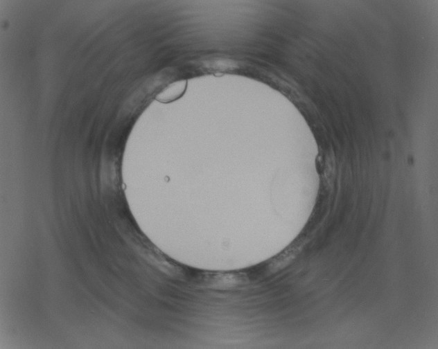 X0000078230330200612011546