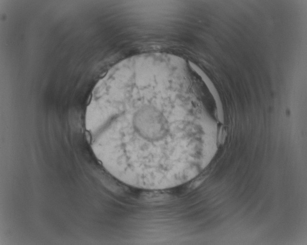 X0000078230331200612011546