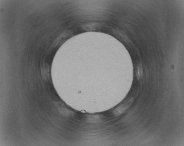 X0000078230332200612011546