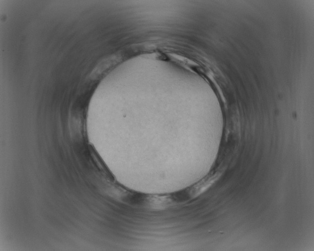 X0000078230333200612011546