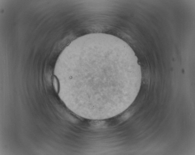 X0000078230334200612011546