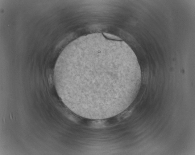 X0000078230335200612011546