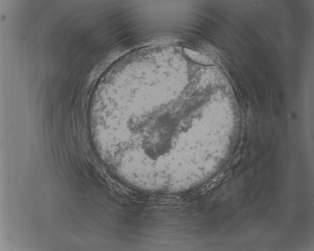 X0000078230337200612011545