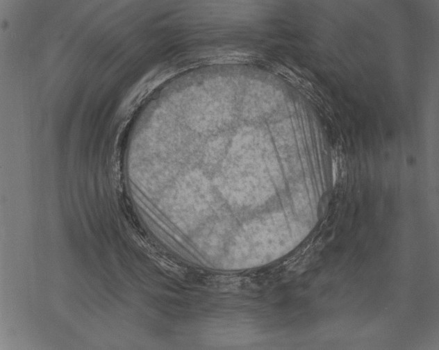 X0000078230339200612011545