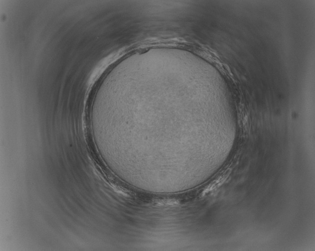 X0000078230340200612011545