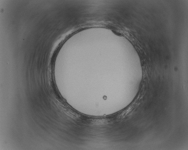 X0000078230342200612011545