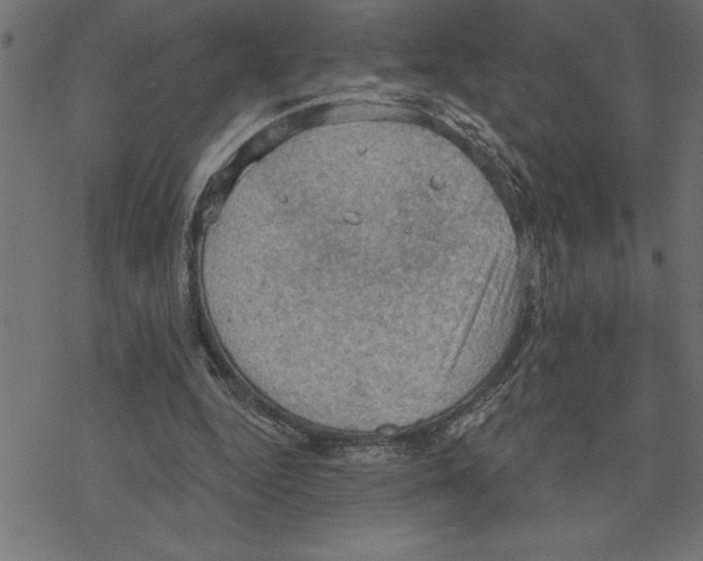 X0000078230344200612011545