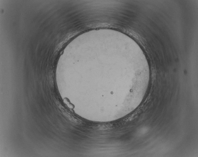 X0000078230345200612011545