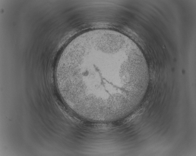 X0000078230347200612011545