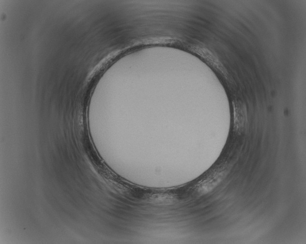 X0000078230348200612011545