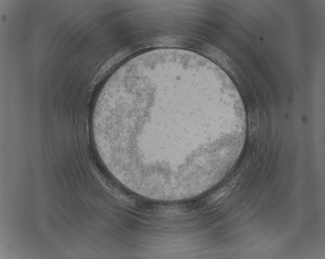 X0000078230349200612011545